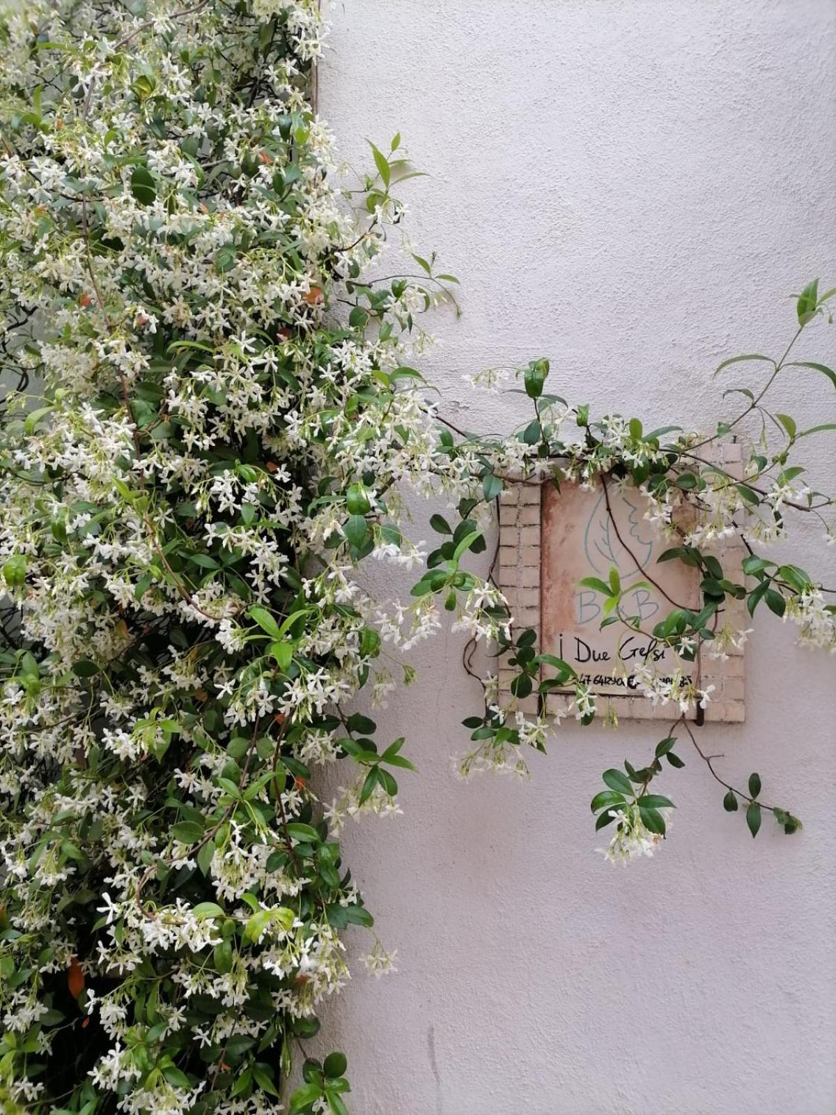 B&B I Due Gelsi Monte Libretti Exterior foto